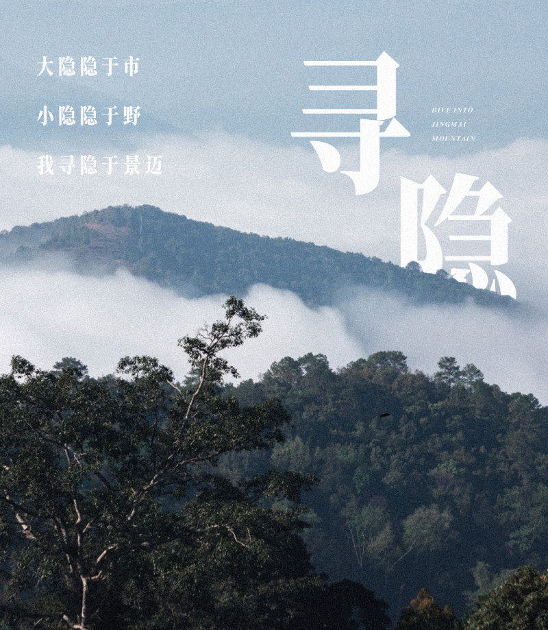 西双版纳·雨林亲子研学