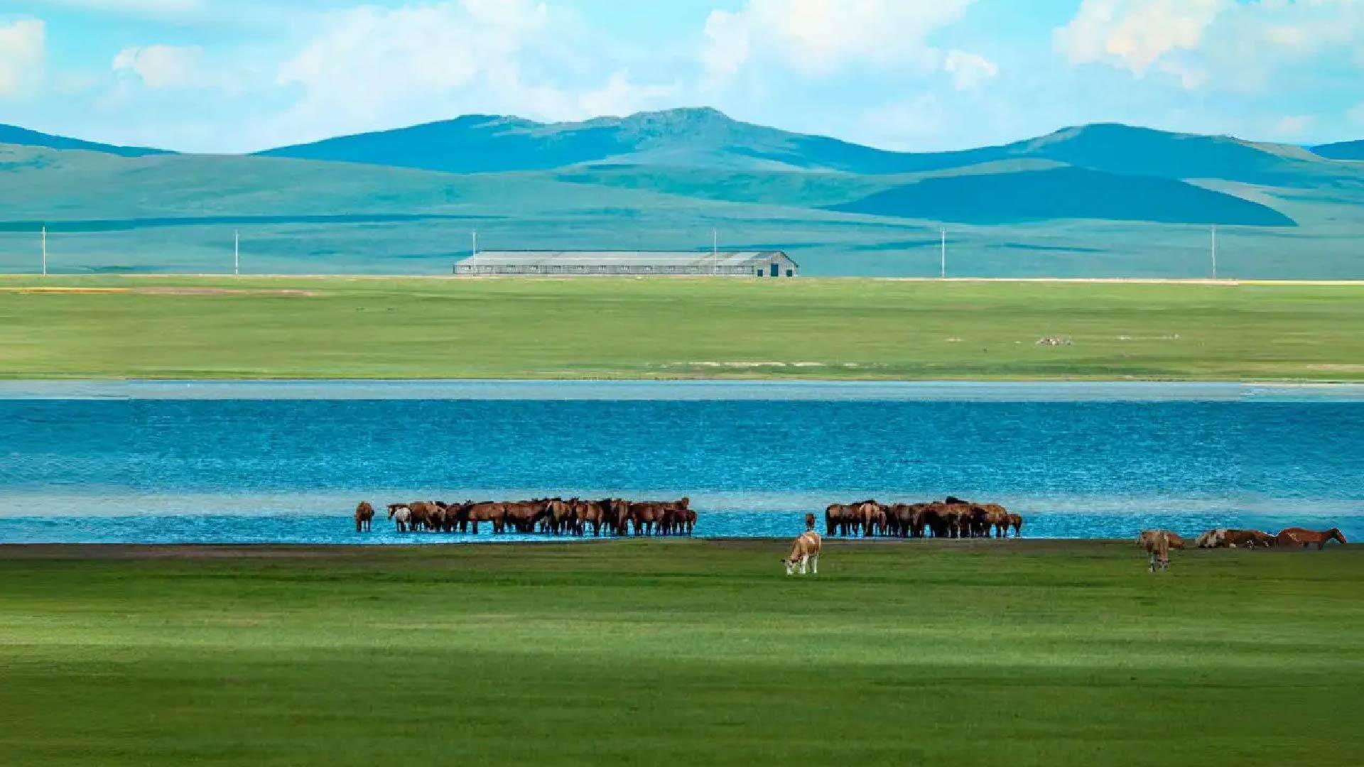 Inner Mongolia