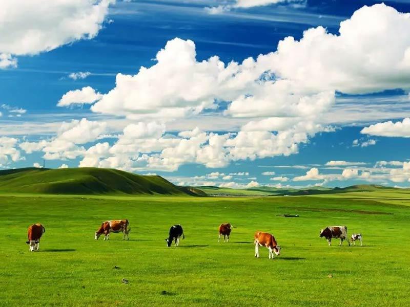 Inner Mongolia