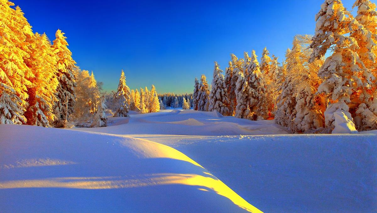 5-Day Changbai Mountain Skiing Getaway: Luneng Resort, Laolike Lake, and Korean Ethnic Minority Intangible Cultural Heritage 1