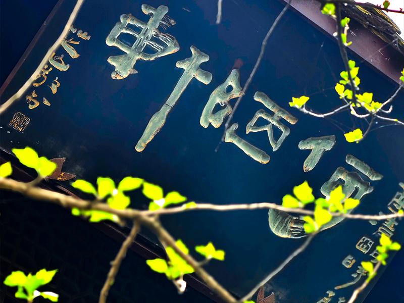 8-Day Guizhou Land of Qian Ancient Sages' Trail Tour